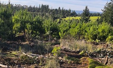 Parcela en Venta en I-180