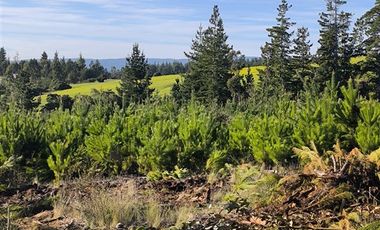 Parcela en Venta en I-180