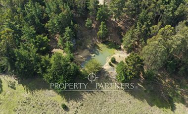 Pichilemu, Terreno con Potencial Comercial en Punta de Lobos