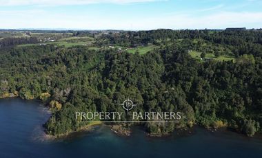 Espectacular terreno de 3 hectáreas subdividido en 6 parcelas de 5.000 m2 a orillas del lago Llanquihue