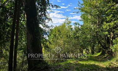 Espectacular terreno de 3 hectáreas subdividido en 6 parcelas de 5.000 m2 a orillas del lago Llanquihue