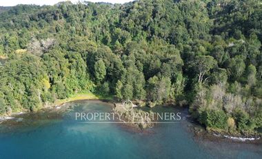 Espectacular terreno de 3 hectáreas subdividido en 6 parcelas de 5.000 m2 a orillas del lago Llanquihue