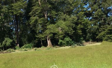 Parcela en condominio consolidado, «Raíces de Frutillar»