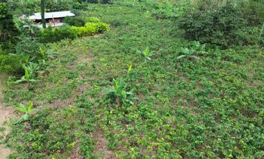 Finca en Venta, Parroquia  Roberto Astudillo  , MaxB