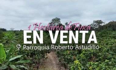 Finca en Venta, Parroquia  Roberto Astudillo  , MaxB