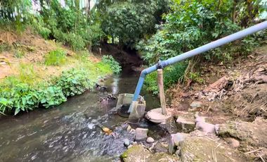 Finca en Venta, Parroquia  Roberto Astudillo  , MaxB