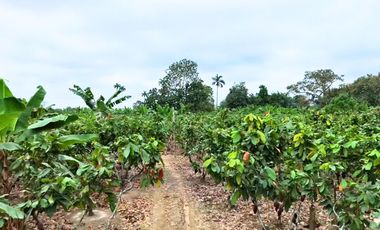 Finca en Venta, Parroquia  Roberto Astudillo  , MaxB