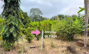 Finca en Venta, Parroquia  Roberto Astudillo  , MaxB