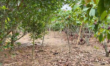 Finca en Venta, Parroquia  Roberto Astudillo  , MaxB