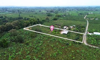 Finca en Venta, Parroquia  Roberto Astudillo  , MaxB