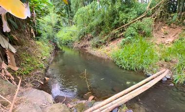 Finca en Venta, Parroquia  Roberto Astudillo  , MaxB