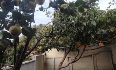 Vende casa de 3 dormitorios y 1 baño en Llolleo. Cuenta con estacionamiento para 2 o 3 vehículos.