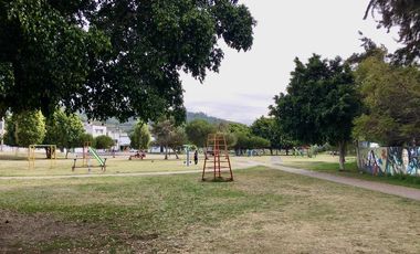 Venta 15.000 m2, terreno plano, centro Guayllabamba, árboles aguacate