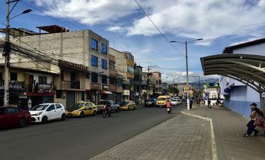 Venta 15.000 m2, terreno plano, centro Guayllabamba, árboles aguacate