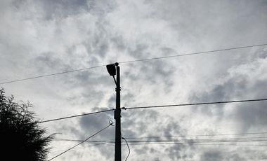 Venta 15.000 m2, terreno plano, centro Guayllabamba, árboles aguacate