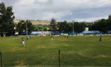 Venta 15.000 m2, terreno plano, centro Guayllabamba, árboles aguacate