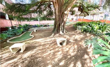 Sector Pilsen en la estrella empezando. A unas calles de Suramérica