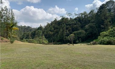 Venta de Lote En El Retiro Parcelación Semi Planos con Agua y Bosque