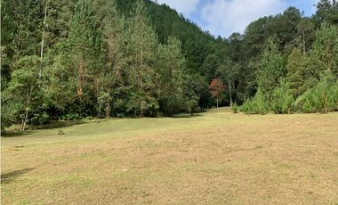 Venta de Lote En El Retiro Parcelación Semi Planos con Agua y Bosque