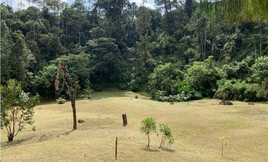 Venta de Lote En El Retiro Parcelación Semi Planos con Agua y Bosque