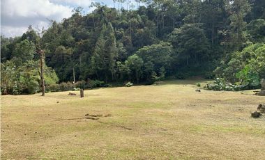 Venta de Lote En El Retiro Parcelación Semi Planos con Agua y Bosque