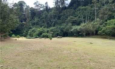 Venta de Lote En El Retiro Parcelación Semi Planos con Agua y Bosque