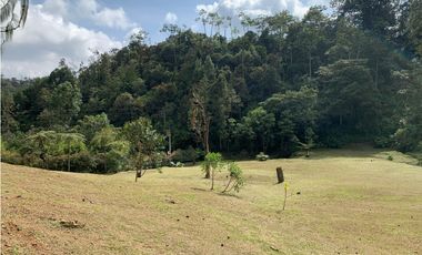 Venta de Lote En El Retiro Parcelación Semi Planos con Agua y Bosque