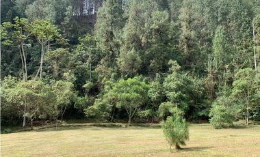 Venta de Lote En El Retiro Parcelación Semi Planos con Agua y Bosque