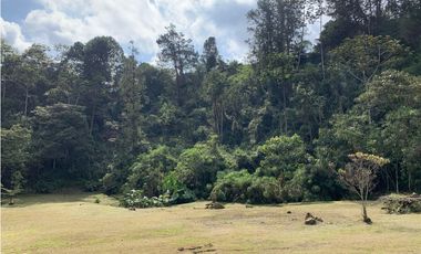 Venta de Lote En El Retiro Parcelación Semi Planos con Agua y Bosque