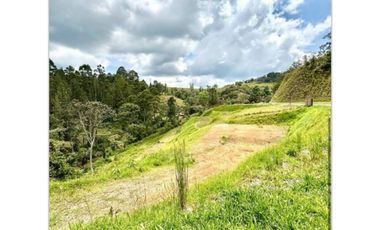 Lote en Venta en El Retiro sector Pantanillo