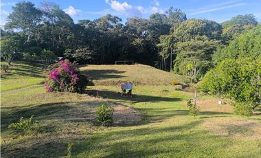 Casa Finca  en venta – La Ceja, Vereda Las Lomitas
