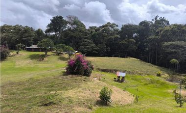 Casa Finca  en venta – La Ceja, Vereda Las Lomitas