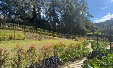 Arriendo apartamento nuevo con terraza y vista en Sajonia Rionegro