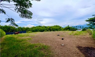 Espectacular lote en la zona de Cerritos