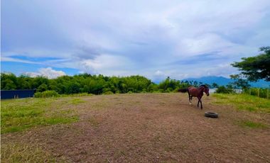 Espectacular lote en la zona de Cerritos