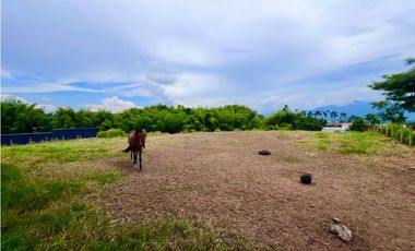 Espectacular lote en la zona de Cerritos