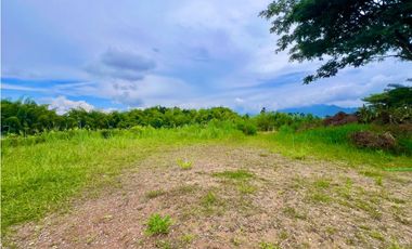 Espectacular lote en la zona de Cerritos