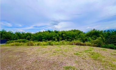 Espectacular lote en la zona de Cerritos