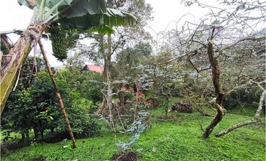 Casa campestre vía Armenia