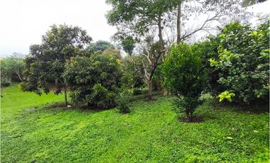 Casa campestre vía Armenia