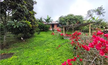 Casa campestre vía Armenia