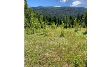 SE ALQUILA TERRENO DE 6.000 M2 EN EL BOLSÓN