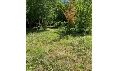 SE ALQUILA TERRENO DE 6.000 M2 EN EL BOLSÓN