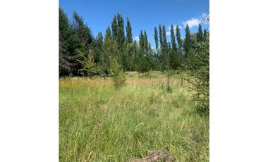 SE ALQUILA TERRENO DE 6.000 M2 EN EL BOLSÓN