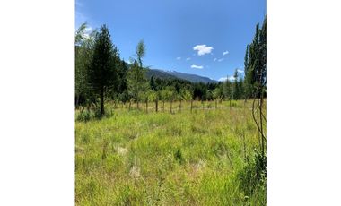 SE ALQUILA TERRENO DE 6.000 M2 EN EL BOLSÓN