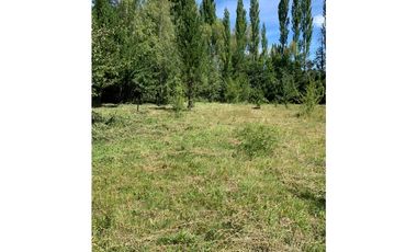 SE ALQUILA TERRENO DE 6.000 M2 EN EL BOLSÓN