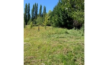 SE ALQUILA TERRENO DE 6.000 M2 EN EL BOLSÓN