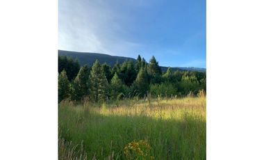 SE ALQUILA TERRENO DE 6.000 M2 EN EL BOLSÓN