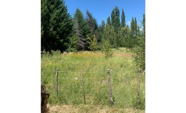 SE ALQUILA TERRENO DE 6.000 M2 EN EL BOLSÓN