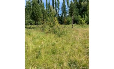 SE ALQUILA TERRENO DE 6.000 M2 EN EL BOLSÓN